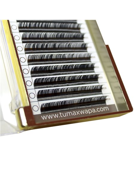 Pipa Lashes 0,05 mm. D Curl